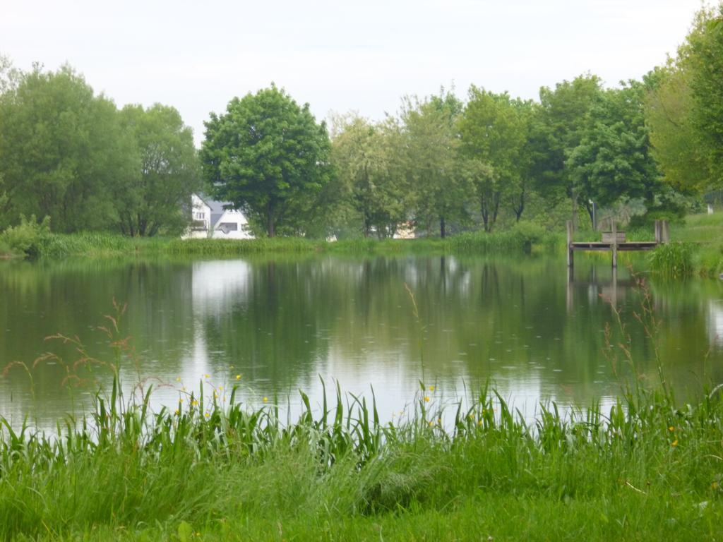 Haus Wendling Lägenhet Blankenrath Rum bild